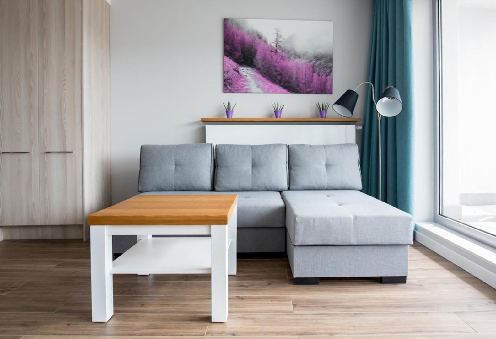 Apartview By Rent Like Home Wisła Εξωτερικό φωτογραφία
